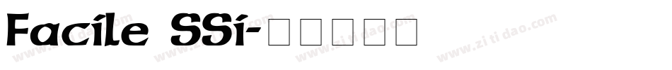 Facile SSi字体转换
